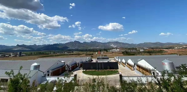 河北z6尊龙凯时有限公司